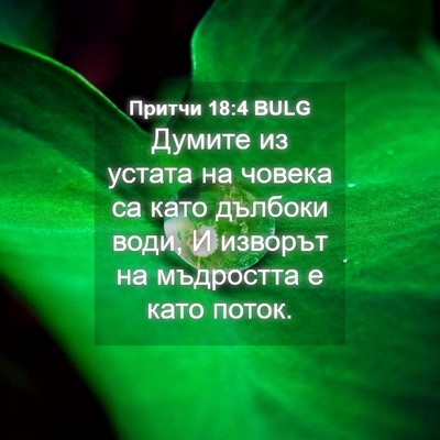 Picture 04 - Притчи 18:4 BULG - Думите из устата на човека - Bible Verse Picture