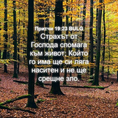 Picture 04 - Притчи 19:23 BULG - Страхът от Господа спомага - Bible Verse Picture