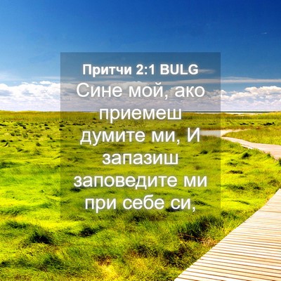 Picture 04 - Притчи 2:1 BULG - Сине мой, ако приемеш - Bible Verse Picture