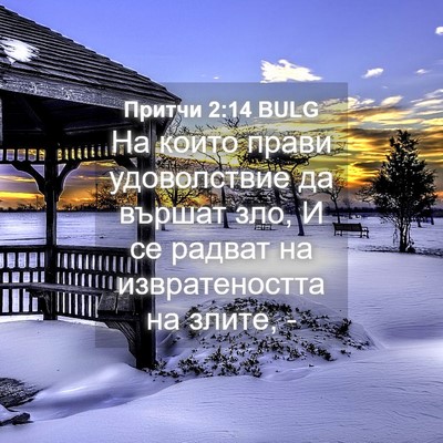 Picture 04 - Притчи 2:14 BULG - На които прави удоволствие - Bible Verse Picture