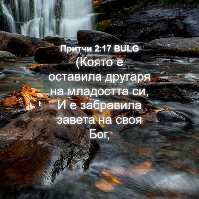 Picture 04 - Притчи 2:17 BULG - (Която е оставила другаря - Bible Verse Picture