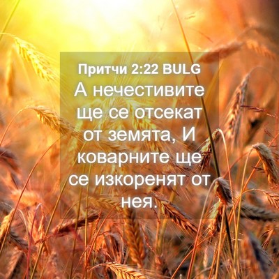 Picture 04 - Притчи 2:22 BULG - А нечестивите ще се - Bible Verse Picture