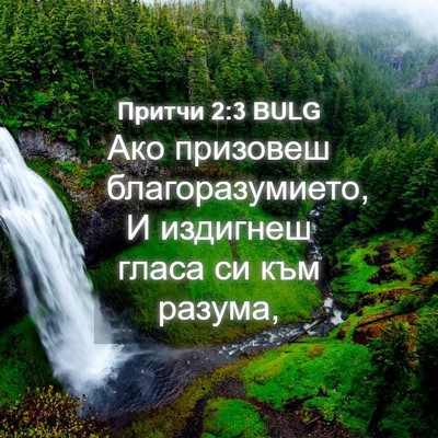 Picture 04 - Притчи 2:3 BULG - Ако призовеш - Bible Verse Picture