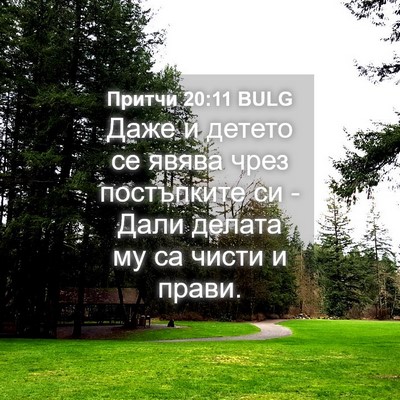 Picture 04 - Притчи 20:11 BULG - Даже и детето се явява чрез - Bible Verse Picture