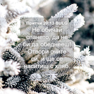Picture 04 - Притчи 20:13 BULG - Не обичай спането, да не би - Bible Verse Picture