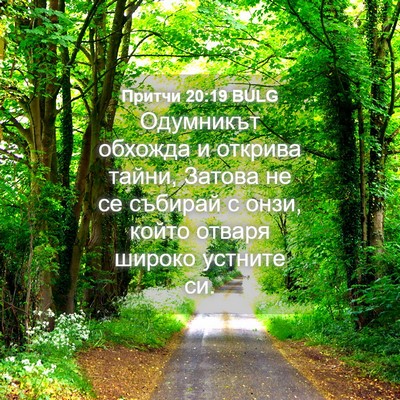 Picture 04 - Притчи 20:19 BULG - Одумникът обхожда и - Bible Verse Picture