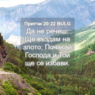 Picture 04 - Притчи 20:22 BULG - Да не речеш: Ще въздам на - Bible Verse Picture
