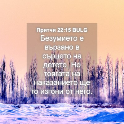 Picture 04 - Притчи 22:15 BULG - Безумието е вързано в - Bible Verse Picture