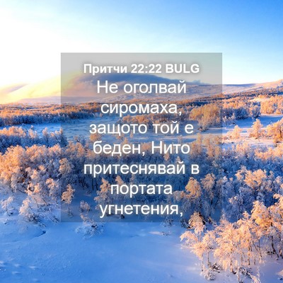 Picture 04 - Притчи 22:22 BULG - Не оголвай сиромаха, - Bible Verse Picture