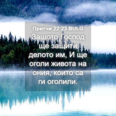 Picture 04 - Притчи 22:23 BULG - Защото Господ ще защити - Bible Verse Picture