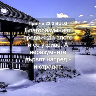 Picture 04 - Притчи 22:3 BULG - Благоразумният предвижда - Bible Verse Picture