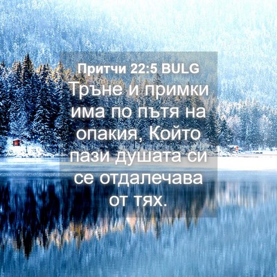 Picture 04 - Притчи 22:5 BULG - Тръне и примки има по пътя - Bible Verse Picture