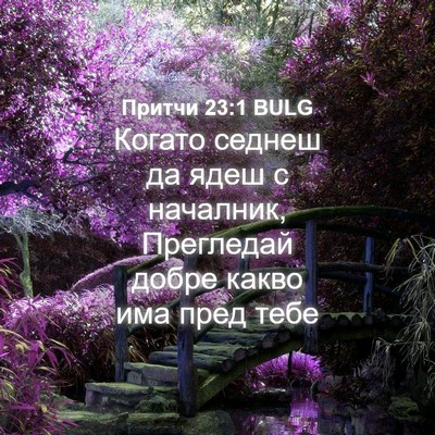 Picture 04 - Притчи 23:1 BULG - Когато седнеш да ядеш с - Bible Verse Picture