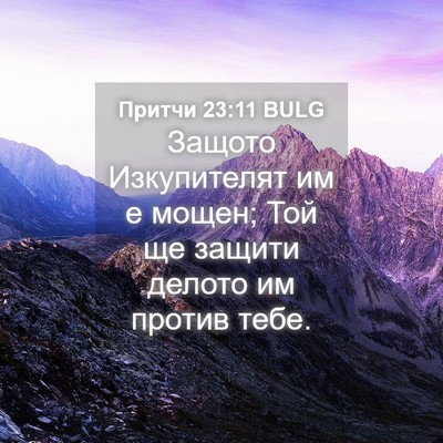 Picture 04 - Притчи 23:11 BULG - Защото Изкупителят им е - Bible Verse Picture