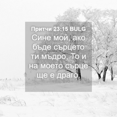 Picture 04 - Притчи 23:15 BULG - Сине мой, ако бъде сърцето - Bible Verse Picture
