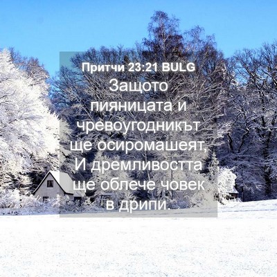 Picture 04 - Притчи 23:21 BULG - Защото пияницата и - Bible Verse Picture