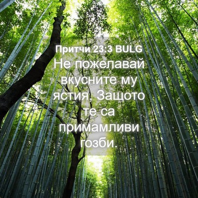 Picture 04 - Притчи 23:3 BULG - Не пожелавай вкусните му - Bible Verse Picture