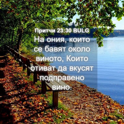 Picture 04 - Притчи 23:30 BULG - На ония, които се бавят - Bible Verse Picture