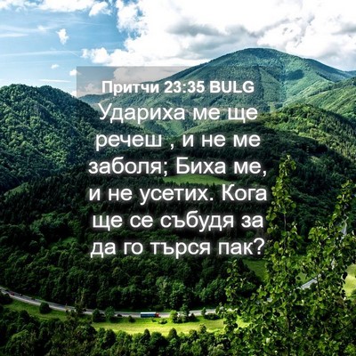 Picture 04 - Притчи 23:35 BULG - Удариха ме ще речеш , и не - Bible Verse Picture