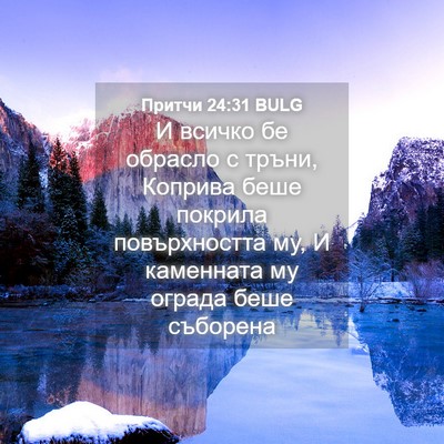 Picture 04 - Притчи 24:31 BULG - И всичко бе обрасло с - Bible Verse Picture