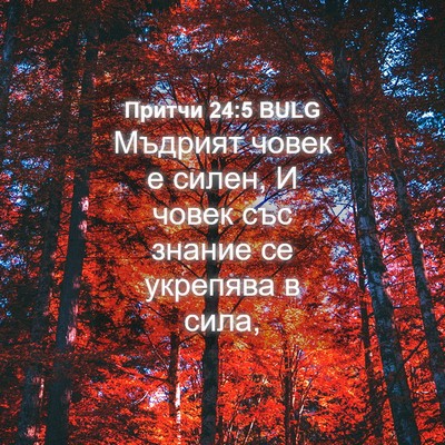 Picture 04 - Притчи 24:5 BULG - Мъдрият човек е силен, И - Bible Verse Picture