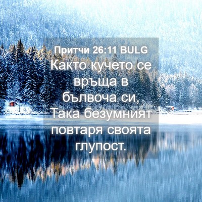 Picture 04 - Притчи 26:11 BULG - Както кучето се връща в - Bible Verse Picture
