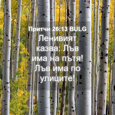 Picture 04 - Притчи 26:13 BULG - Ленивият казва: Лъв има на - Bible Verse Picture