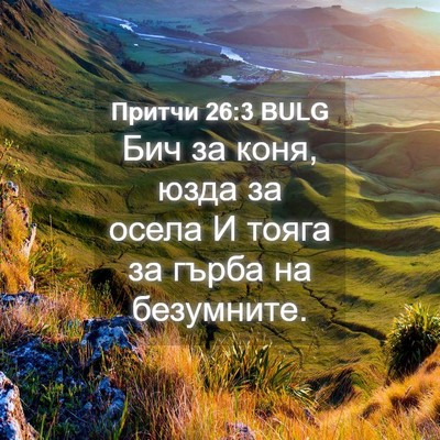 Picture 04 - Притчи 26:3 BULG - Бич за коня, юзда за осела И - Bible Verse Picture