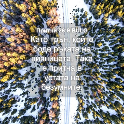 Picture 04 - Притчи 26:9 BULG - Като трън, който боде - Bible Verse Picture