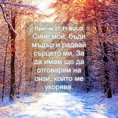 Picture 04 - Притчи 27:11 BULG - Сине мой, бъди мъдър и - Bible Verse Picture