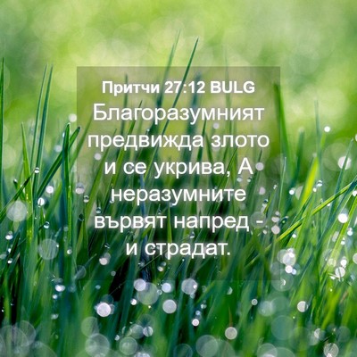 Picture 04 - Притчи 27:12 BULG - Благоразумният предвижда - Bible Verse Picture