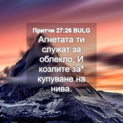 Picture 04 - Притчи 27:26 BULG - Агнетата ти служат за - Bible Verse Picture