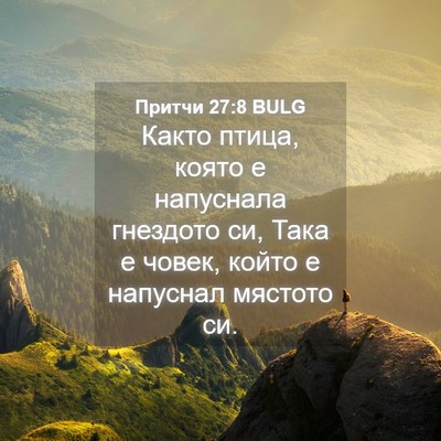 Picture 04 - Притчи 27:8 BULG - Както птица, която е - Bible Verse Picture
