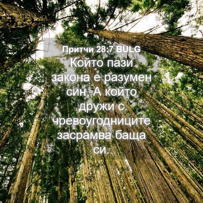 Picture 04 - Притчи 28:7 BULG - Който пази закона е - Bible Verse Picture