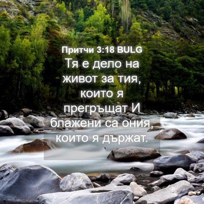 Picture 04 - Притчи 3:18 BULG - Тя е дело на живот за тия, - Bible Verse Picture