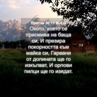 Picture 04 - Притчи 30:17 BULG - Окото, което се присмива на - Bible Verse Picture