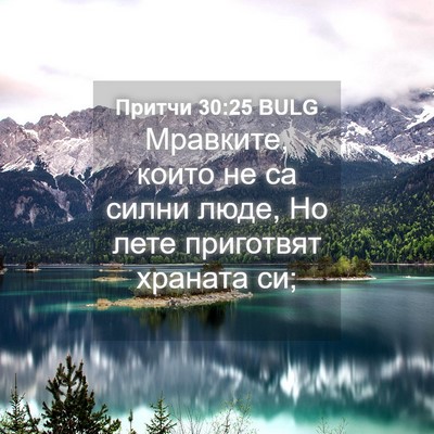 Picture 04 - Притчи 30:25 BULG - Мравките, които не са силни - Bible Verse Picture