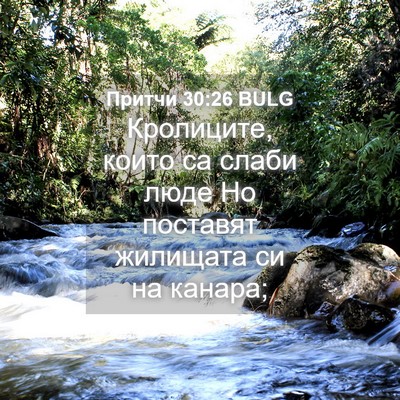 Picture 04 - Притчи 30:26 BULG - Кролиците, които са слаби - Bible Verse Picture