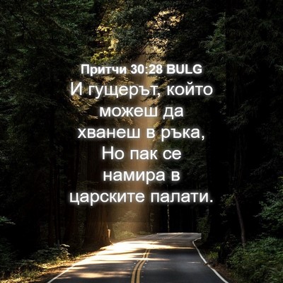 Picture 04 - Притчи 30:28 BULG - И гущерът, който можеш да - Bible Verse Picture
