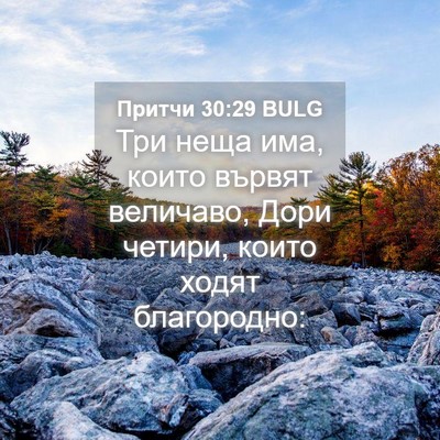 Picture 04 - Притчи 30:29 BULG - Три неща има, които вървят - Bible Verse Picture