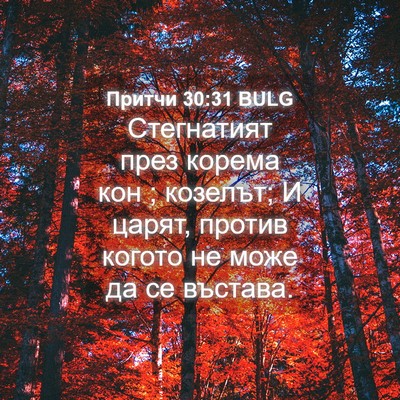 Picture 04 - Притчи 30:31 BULG - Стегнатият през корема кон - Bible Verse Picture