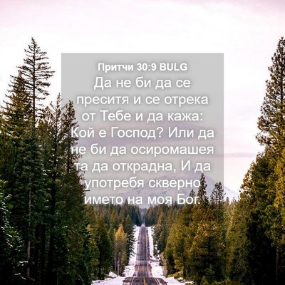 Picture 04 - Притчи 30:9 BULG - Да не би да се преситя и се - Bible Verse Picture