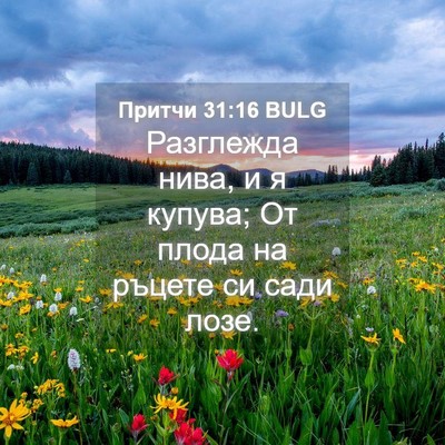 Picture 04 - Притчи 31:16 BULG - Разглежда нива, и я купува; - Bible Verse Picture