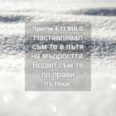 Picture 04 - Притчи 4:11 BULG - Наставлявал съм те в пътя - Bible Verse Picture