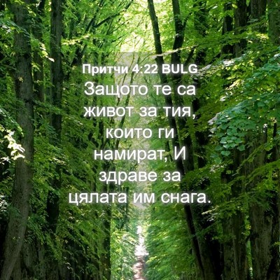 Picture 04 - Притчи 4:22 BULG - Защото те са живот за тия, - Bible Verse Picture