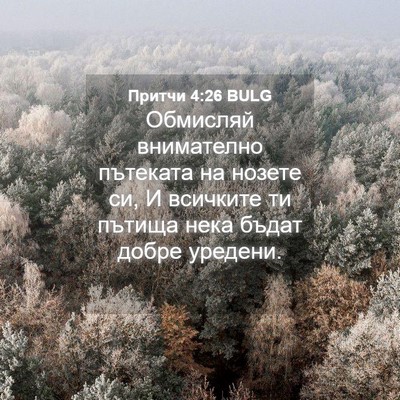 Picture 04 - Притчи 4:26 BULG - Обмисляй внимателно - Bible Verse Picture