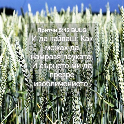 Picture 04 - Притчи 5:12 BULG - И да казваш: Как можах да - Bible Verse Picture