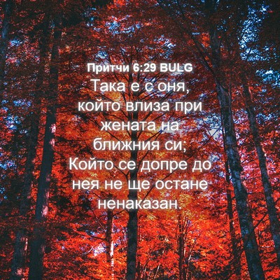 Picture 04 - Притчи 6:29 BULG - Така е с оня, който влиза - Bible Verse Picture