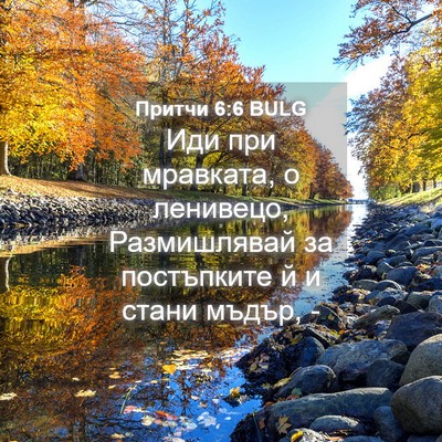 Picture 04 - Притчи 6:6 BULG - Иди при мравката, о - Bible Verse Picture