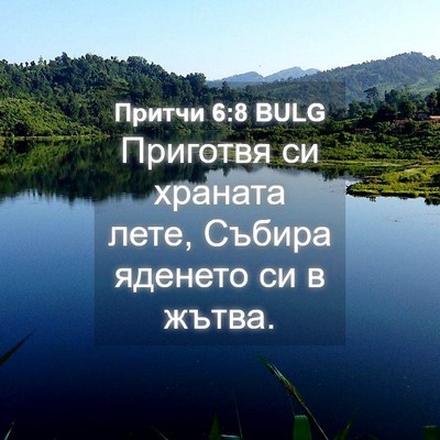 Picture 04 - Притчи 6:8 BULG - Приготвя си храната лете, - Bible Verse Picture